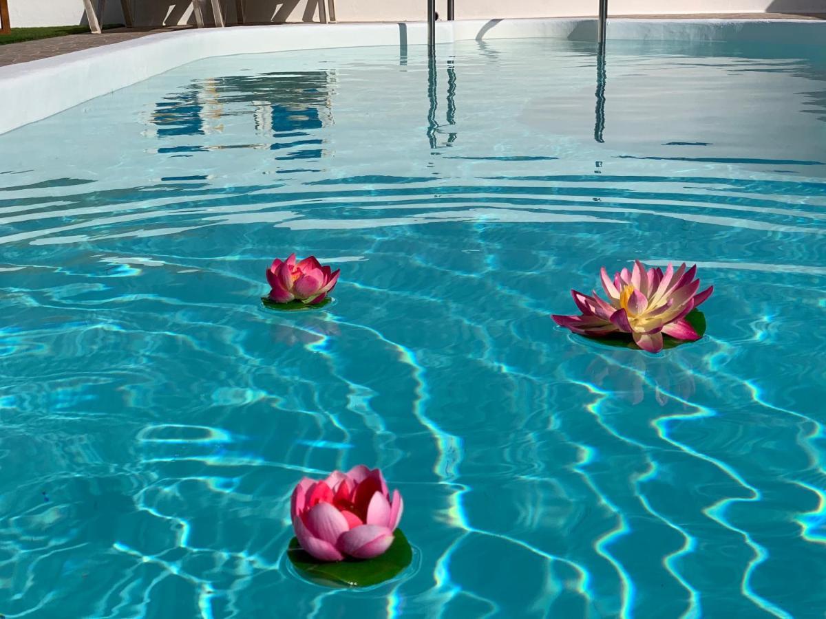 Pico Partido Villa Heated Pool Tinguaton Bagian luar foto